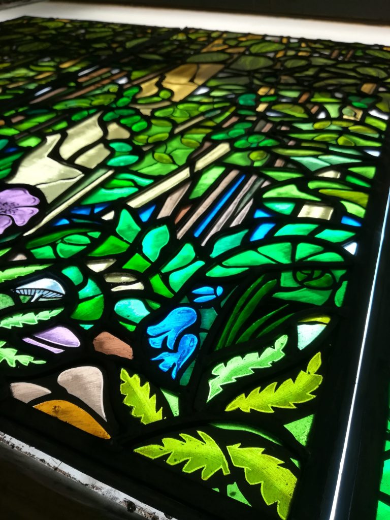 Stained Glass Bluebells, Ferns and Mushrooms