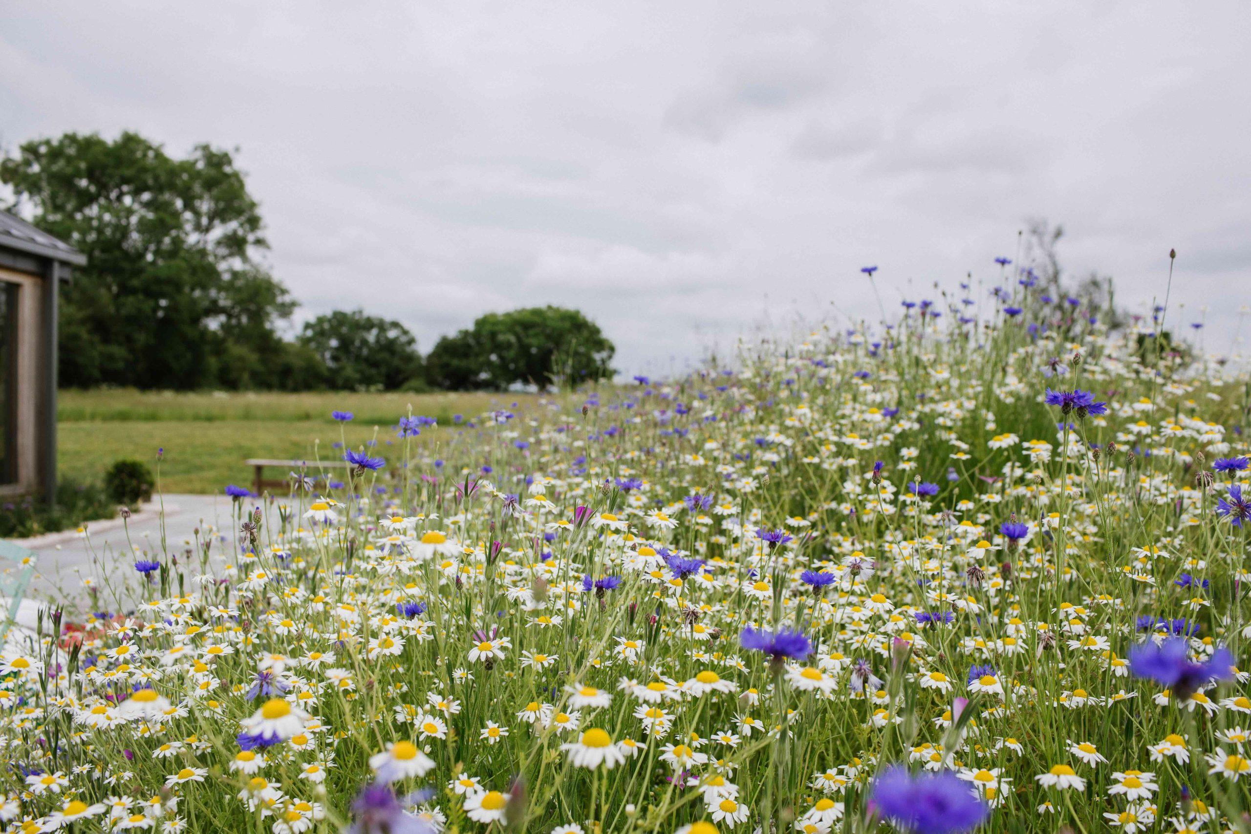 English country manor estate entrance gatehouse
