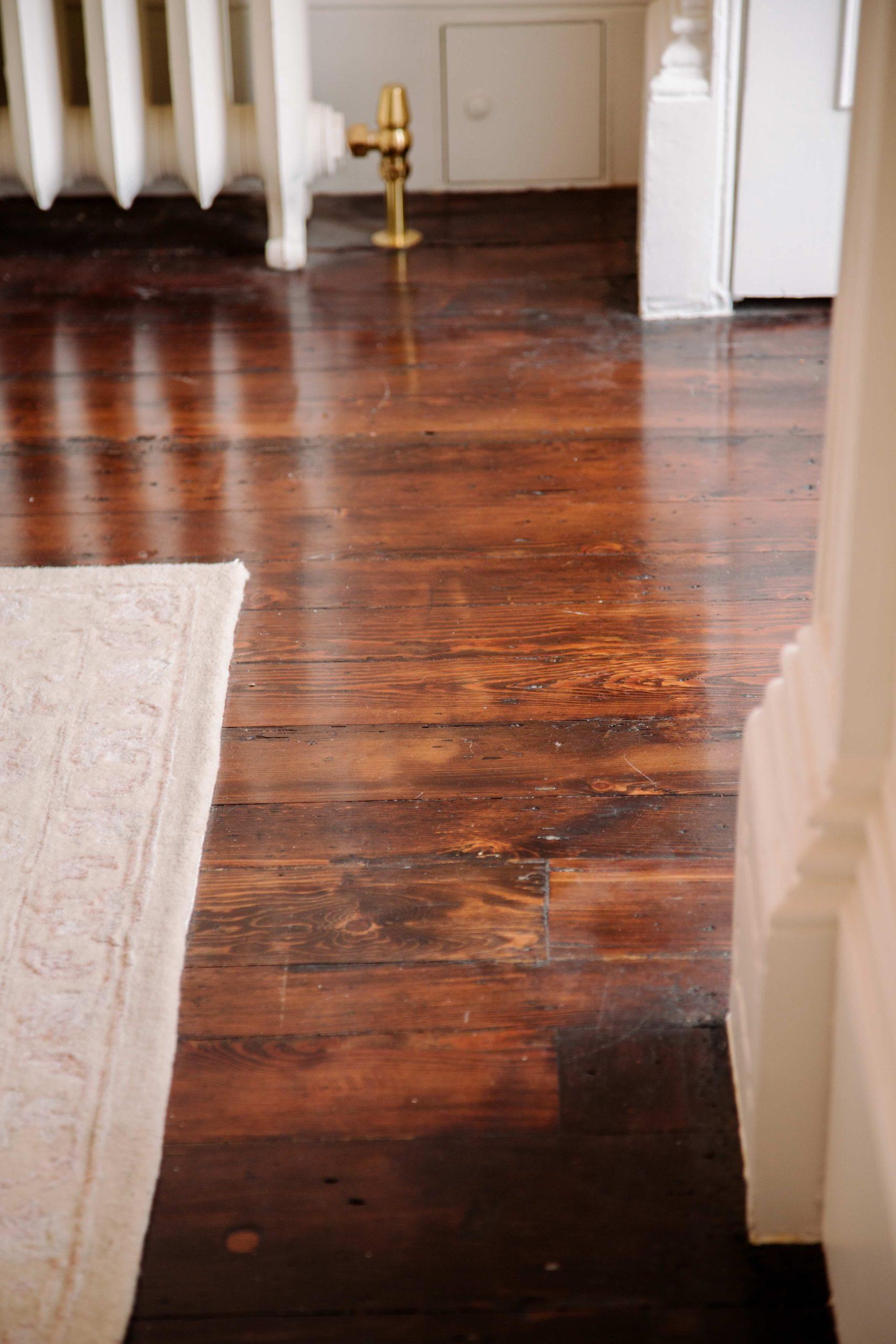 Classical stone carving with British flora