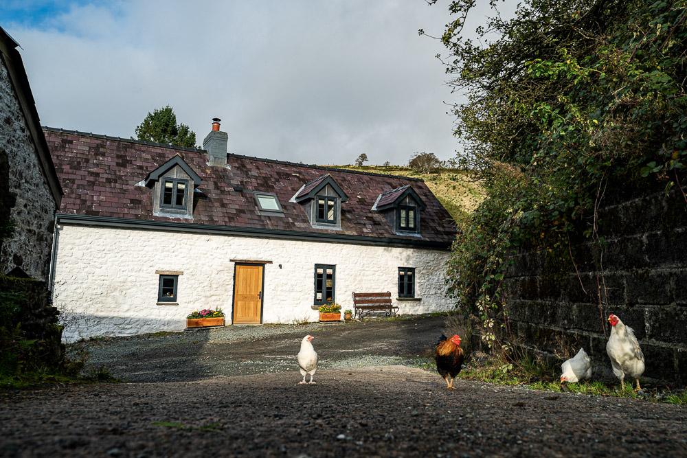 Full restoration and renovation of a historic 17th century Welsh longhouse in Mid-Wales.