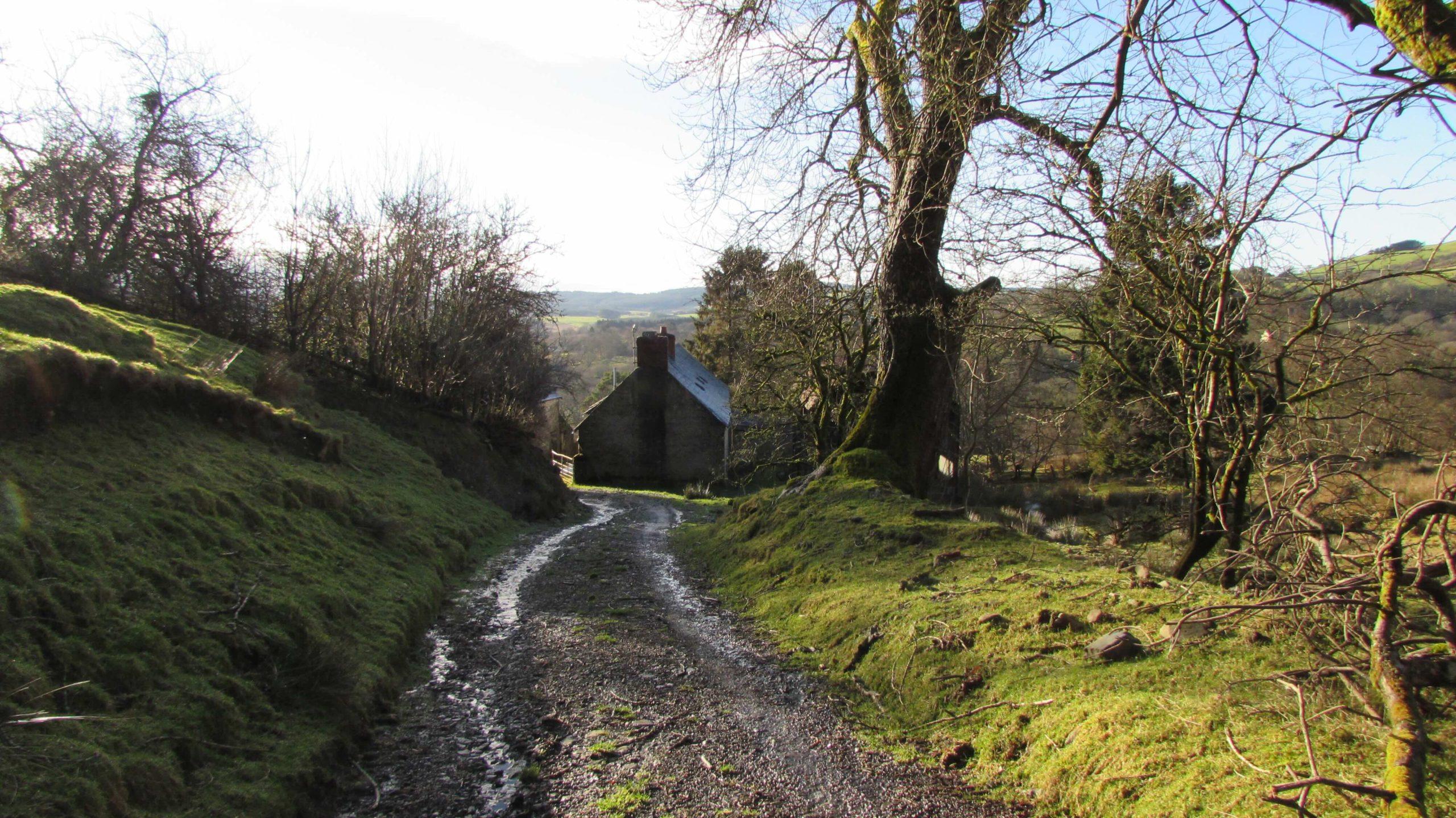 The view on the approach to the farmhouse before it was renovated.