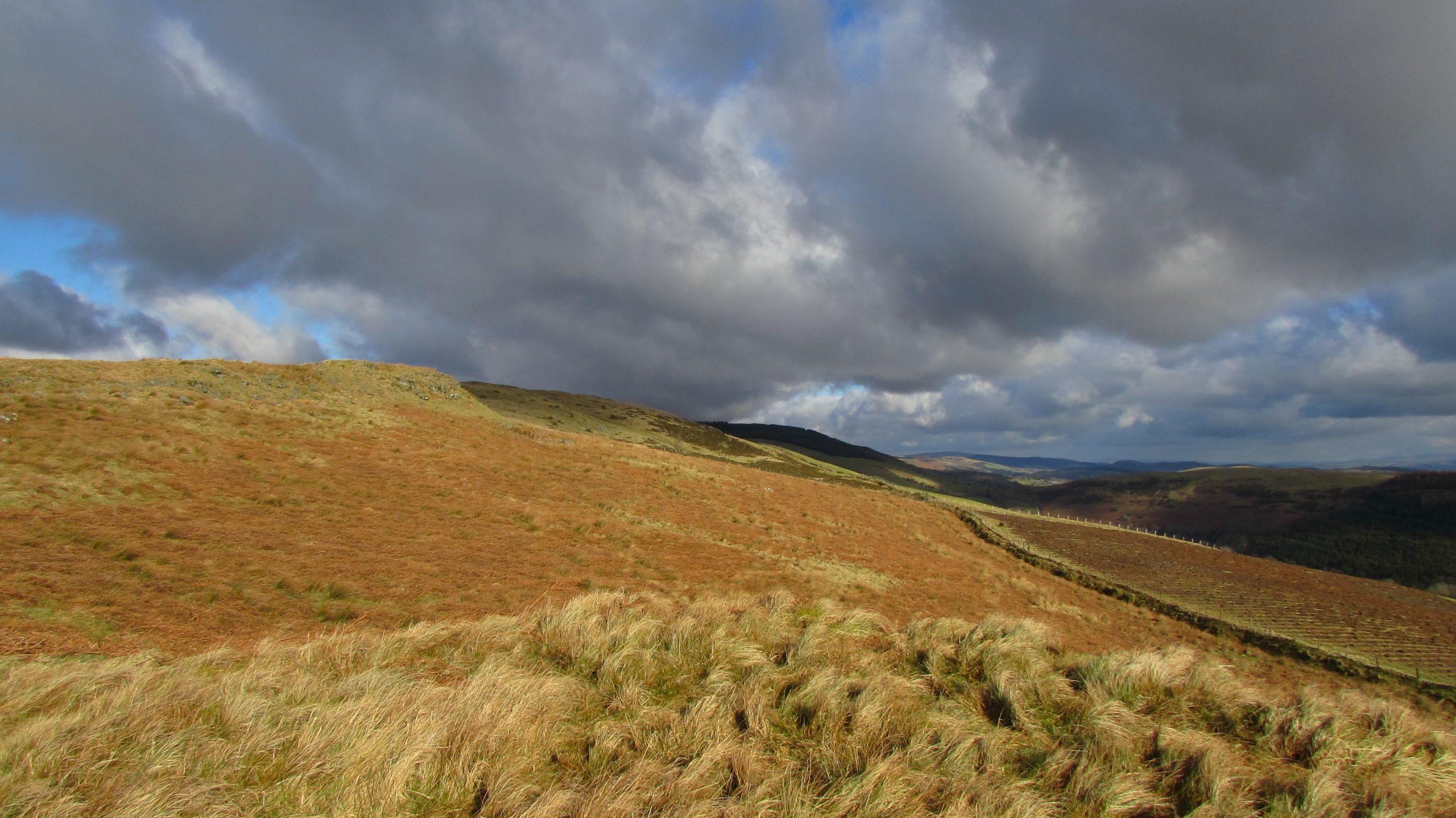 A view of the Cambrian mountains from the top of the 340 acres of regenerative farmland.
