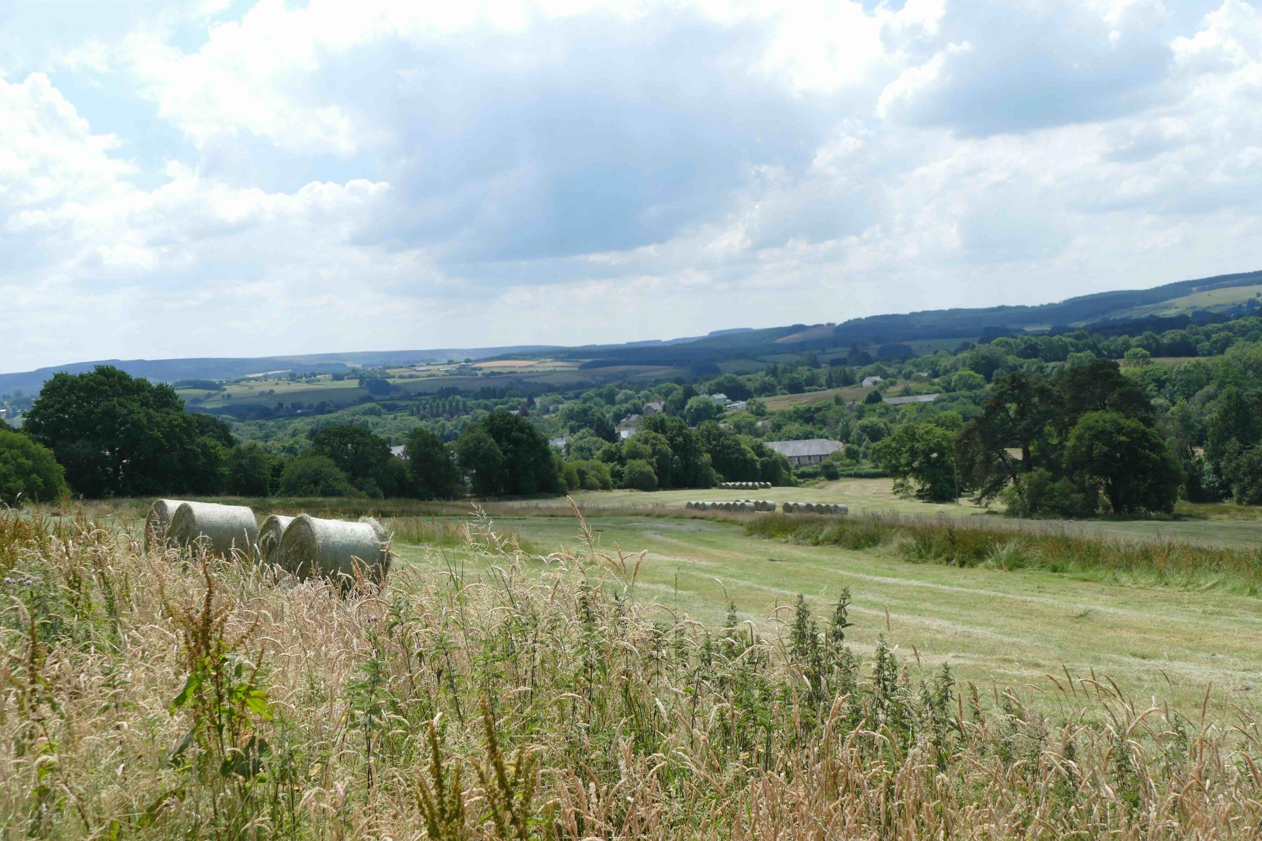 A view across hay fields towards the Cambrian mountains from the farm.